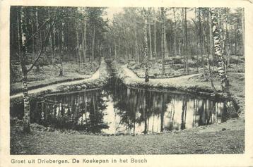 (388-365-001) Driebergen-Rijsenburg de Koekepan beschikbaar voor biedingen