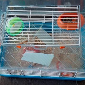 Hamster bak beschikbaar voor biedingen