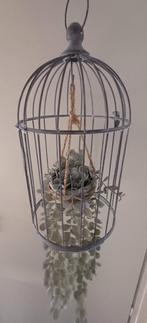 Vogelkooi met plantenhanger decoratie, Huis en Inrichting, Kamerplanten, Overige soorten, In pot, Minder dan 100 cm, Halfschaduw