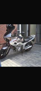 Yamaha tdm, Bedrijf, Toermotor