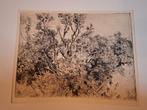 Ets van struiken van mensinga, Antiek en Kunst, Kunst | Etsen en Gravures, Ophalen of Verzenden