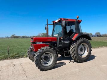 Case INTERNATIONAL Trekker 844 XL (bj 1989) beschikbaar voor biedingen