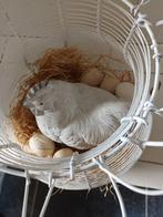 Pasen decoratie, kip in draadmand, Ophalen of Verzenden, Gebruikt