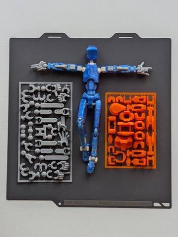 Model Kit Dummy pop  beschikbaar voor biedingen