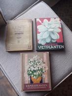 Plaatjesalbum, Boeken, Ophalen of Verzenden, Gelezen