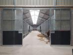 Dubbele schuifdeur | Glas | Kruisroeden | Staldeur | 14, Weidegang, 4 paarden of pony's of meer