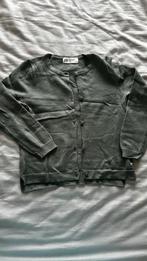 H&M vestje maat 110/116, Ophalen of Verzenden, Zo goed als nieuw, H&M, Meisje