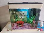 Superfish compleet klein Aquarium, Ophalen, Gebruikt, Gevuld zoetwateraquarium