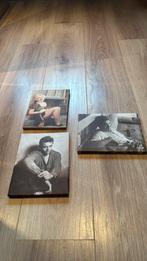 MARYLIN MONROU EN JAMES DEAN PORTRETTEN, Antiek en Kunst, Kunst | Schilderijen | Klassiek, Ophalen of Verzenden
