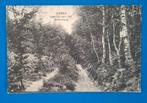 Ansichtkaart Dieren Laantje naar den Geitenberg 1929, Ophalen of Verzenden, 1920 tot 1940, Gelopen, Gelderland