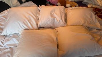 5 Mooie decoratie kussens 45 x 45 beschikbaar voor biedingen