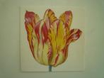 Kunstkaart Jacob Marrel Details uit een Tulpenboek tulp bloe, Verzenden, Overige thema's
