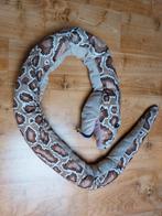 Python Knuffel (Ikea) Handpop, Ophalen of Verzenden, Zo goed als nieuw, Overige typen