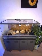 Terrarium, Dieren en Toebehoren, Ophalen, Zo goed als nieuw, Terrarium of Paludarium