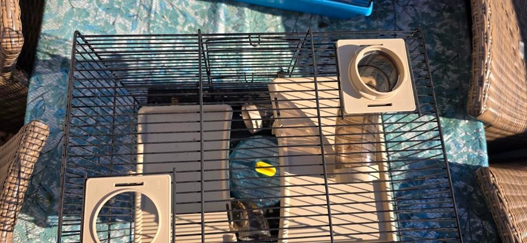 Nieuwe hamsterkooi met allerlei accessoires, Kooi, Ophalen, Minder dan 60 cm, Minder dan 75 cm