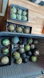 Kerstballen groen en zwart tinten, Diversen, Kerst, Ophalen of Verzenden, Zo goed als nieuw