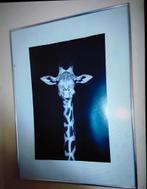 Schilderij  giraffe  2 stuks/ Leen Bakker, Huis en Inrichting, Ophalen, Zo goed als nieuw, Hout