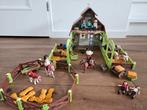 Playmobil Spirit schuur met 4 stallen, Kinderen en Baby's, Speelgoed | Playmobil, Ophalen of Verzenden, Zo goed als nieuw