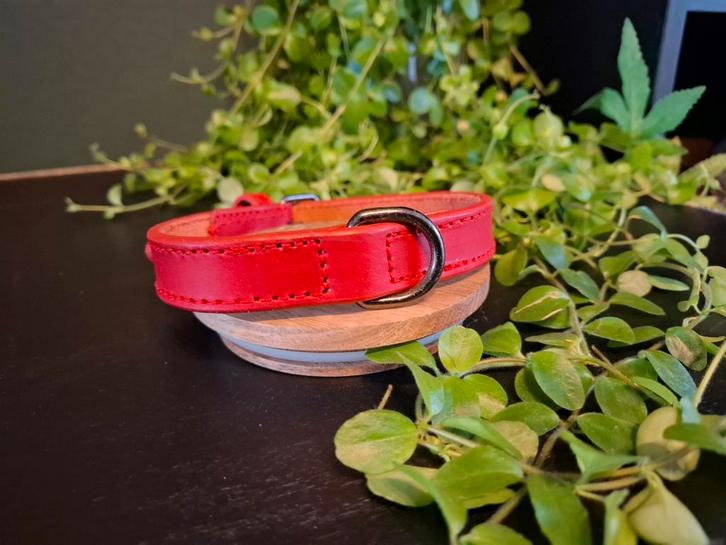 Verschillende hondenlijn en halsbanden, Dieren en Toebehoren, Hondenriemen, Nieuw, Hondenriem, Ophalen of Verzenden