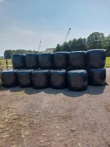 Midi Balen Te Koop beschikbaar voor biedingen