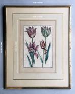 Maria Sibylla Merian - Emmanuel Sweerts - Daniel Rabel - Ets, Antiek en Kunst, Kunst | Etsen en Gravures, Ophalen of Verzenden