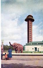 Rotterdam, Diergaarde Blijdorp, Verzenden, 1940 tot 1960, Gelopen, Zuid-Holland