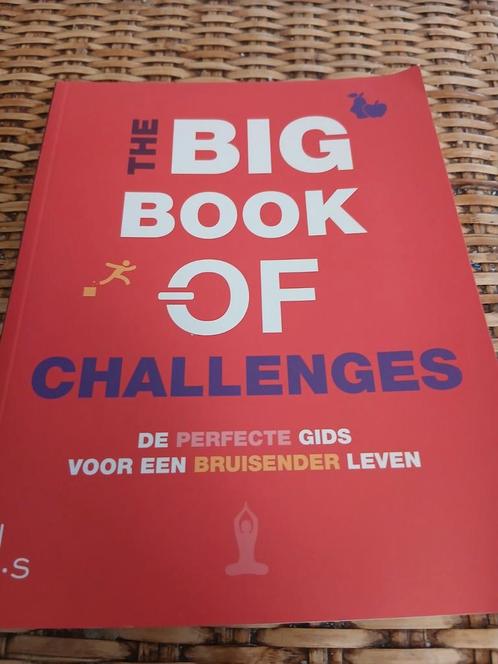 The Big Book of Challenges - Sabine Hausmann, Boeken, Advies, Hulp en Training, Zo goed als nieuw, Ophalen of Verzenden