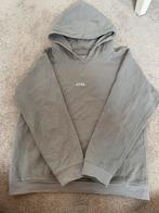 AYBL hoodie, Kleding | Dames, Sportkleding, Ophalen of Verzenden, Maat 36 (S), Grijs, Fitness of Aerobics