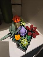 Lego 10309, Kinderen en Baby's, Speelgoed | Duplo en Lego, Ophalen of Verzenden, Zo goed als nieuw