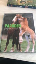 Paarden, Boeken, Ophalen of Verzenden, Zo goed als nieuw, Paarden of Pony's