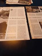 Artikel over Ds. Tuturima predikant te Buiksloot 1958, Verzamelen, Tijdschriften, Kranten en Knipsels, Ophalen of Verzenden, 1940 tot 1960