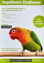 A.S. zondag vogelbeurs Eindhoven, Meerdere dieren