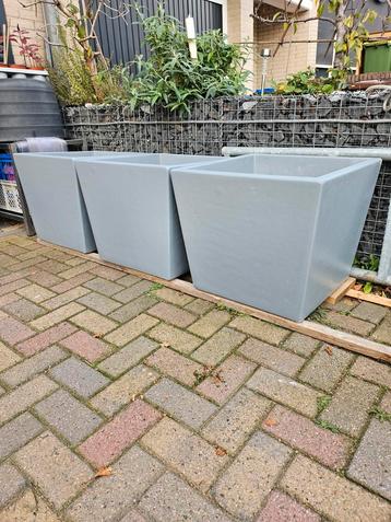 mooie betonnen plantenbakken. (Grijs) sterke kwaliteit beschikbaar voor biedingen