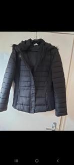Trend One Gewatteerde Jas XL - Nieuw!, Zwart, Maat 46/48 (XL) of groter, Nieuw, Ophalen of Verzenden
