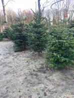 Kerstbomen, Ophalen, Nieuw