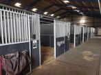 ACTIESET | 3 complete paardenboxen 4x4m | Stalwanden