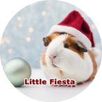 TD249 luxe icing cavia kerst 20cm eetbare taart print top, Hobby en Vrije tijd, Ophalen of Verzenden, Nieuw, Taarten, Versiering