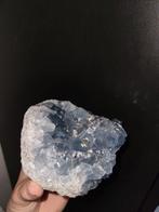 Helder blauwe Celestien groot, Ophalen of Verzenden
