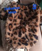 Chihuahua warm/hesje maatje S, Ophalen, Hondenjas