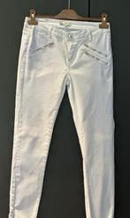 NIEUW lichtblauwe broek Bella Ragazza maat 36, Bella Ragazza, Nieuw, Maat 36 (S), Lang