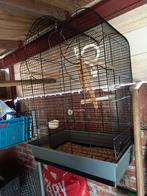 Nette vogelkooi voor Kanarie / parkiet, Dieren en Toebehoren, Ophalen of Verzenden, Zo goed als nieuw, Metaal, Vogelkooi