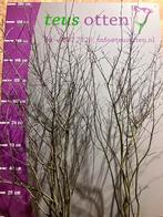 Krentenboompje Amelanchier meerstammig leverbaar tot 250 cm., Overige soorten, Ophalen of Verzenden, Struik, 100 tot 250 cm