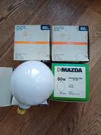 4x globe 120 gloeilamp 60 Watt E27 fitting, Gloeilamp, 60 watt of meer, Nieuw, E27 (groot)