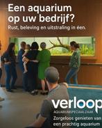 Maatwerk aquarium, aquarium onderhoud, Ophalen, Nieuw