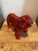 Bulldog, Ophalen, Zo goed als nieuw, Dier