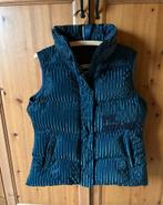 bodywarmer KN dames, Kleding | Dames, Bodywarmers, Ophalen of Verzenden, Nieuw, Maat 42/44 (L), Blauw