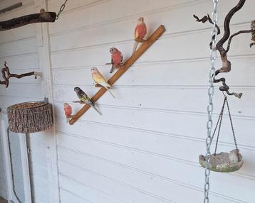 Tekoop zitstokken voor aan de wand  beschikbaar voor biedingen