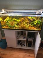Compleet aquarium, Dieren en Toebehoren, Ophalen, Gebruikt