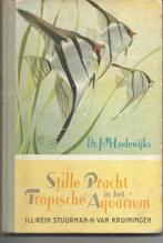 Plaatjesalbum Stille Pracht in het Tropisch Aquarium Hille, Boeken, Prentenboeken en Plaatjesalbums, Ophalen of Verzenden, Gelezen