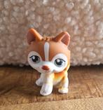 LPS Husky 341 zeldzaam, Ophalen of Verzenden, Gebruikt
